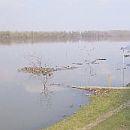 Дунав поглъща брега