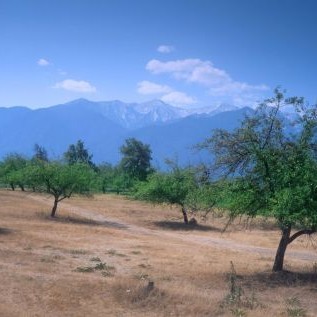 Пирин откъм Разлог