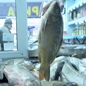 Цената на рибата скочи предпразнично