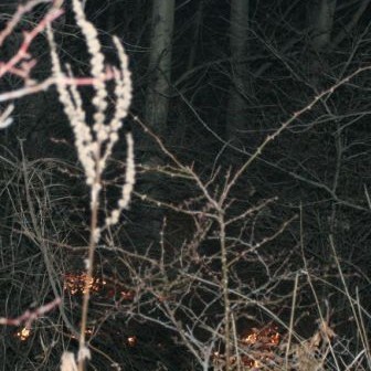 Тлеещи останки около мястото на пожара в Люлин планина край София