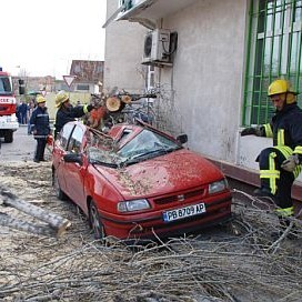 Топола потроши кола в Хасково