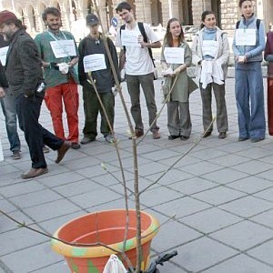7-ми пореден протест на еколозите на Дондуков 2