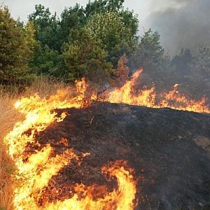 Пожарът между хасковските села не може да се угаси с обикновена техника