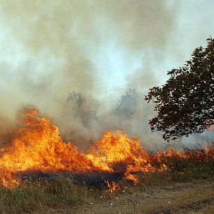 Пожар избухна и край хасковското село Меричлери