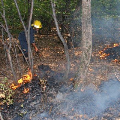 Пожарът в областта Кенана, Хасковско