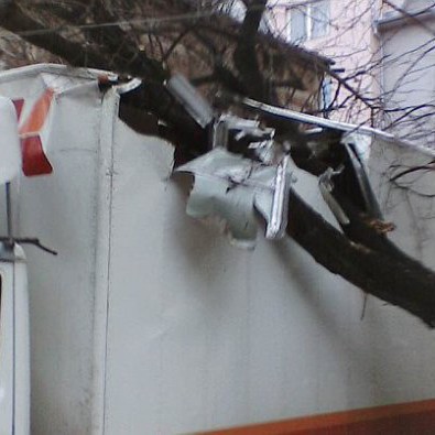 На ул. Захари Стоянов сухо дърво падна върху товарен автомобил в Пловдив