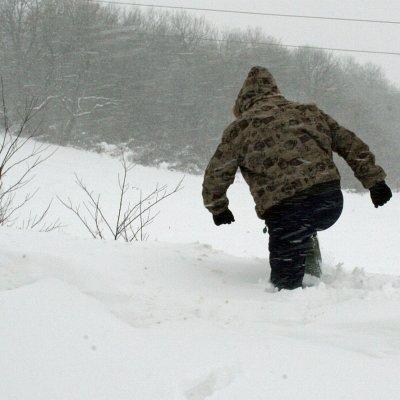 Снегът в Северозападна България