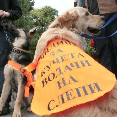 Кръстиха кучета водачи в Борисовата градина