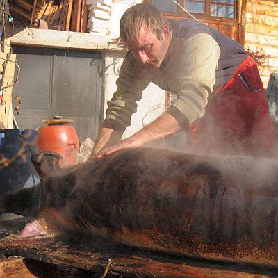 Българското свинско месо вече ще се търгува в Европа