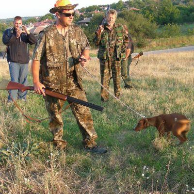 Ловците в русенско да се пазят от дивеча, болен от бяс