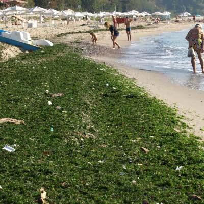 Мръсни плажове по черноморието, няма явно кой да ги почисти