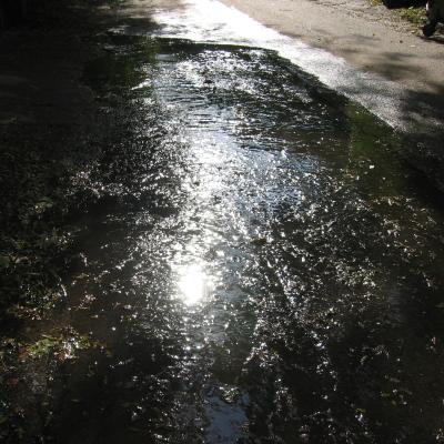 Вече цял месец тече вода по улицата от спукана тръба