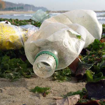 Плажът във Варна тъне в боклуци