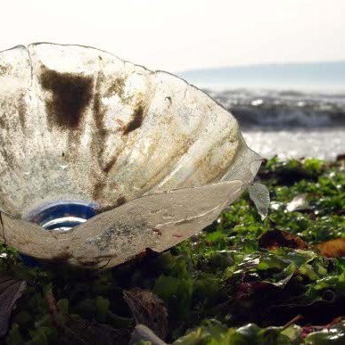 Плажът във Варна тъне в боклуци