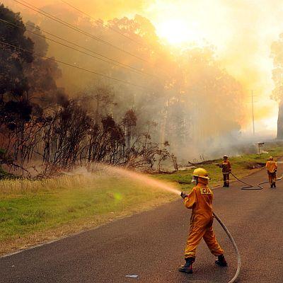 Горещините предизвикаха много горски пожари в южния щат Виктория в Австралия