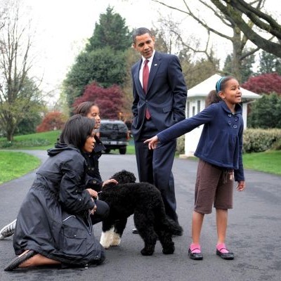 Кучето на семейство Обама дори направи светския си дебют