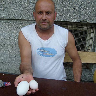 Тихомир Хаджиев демонстрира разликата между обикновено паче яйце и гиганта рекордьор