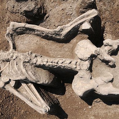 Намереният човешки скелет от архаична Тракия