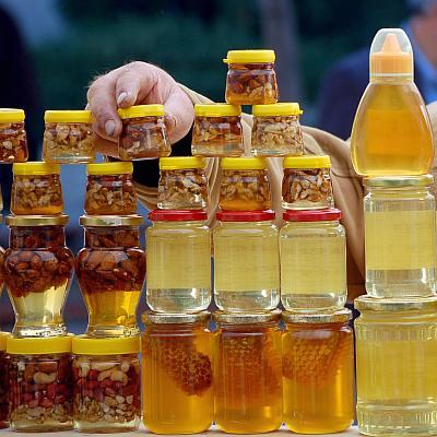Изложение на мед в Пловдив