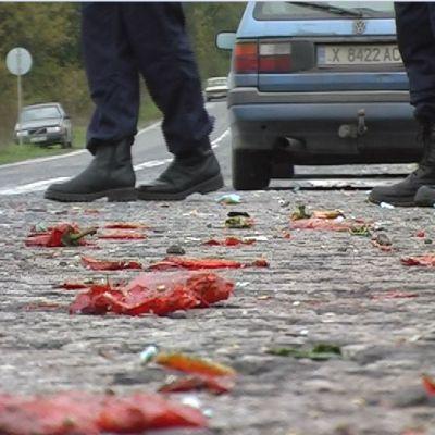 ТИР с чушки се обърна при катастрофа край Димитровград