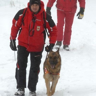Планински спасители с куче