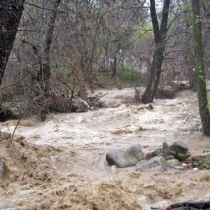 Придошлата вследствие на проливните дъждове река Бистрица подкопа сериозно моста при село Гърляно