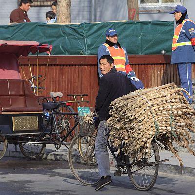 Китаец с колело вози чесън
