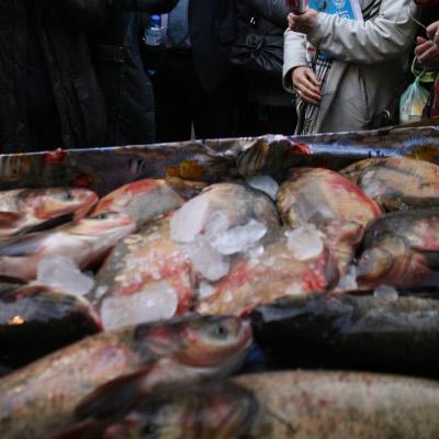Риба на Женския пазар преди Никулден