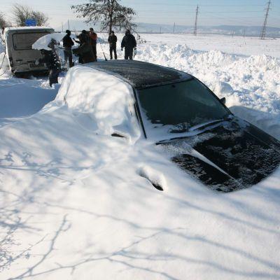 коли, затрупани от снега