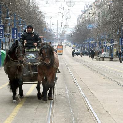Файтон теглен от два коня учуди минувачите по столичния булевард  Витоша