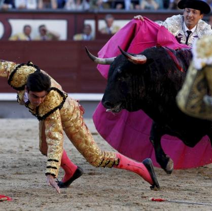 В Испания успяха да клонират боен бик за корида