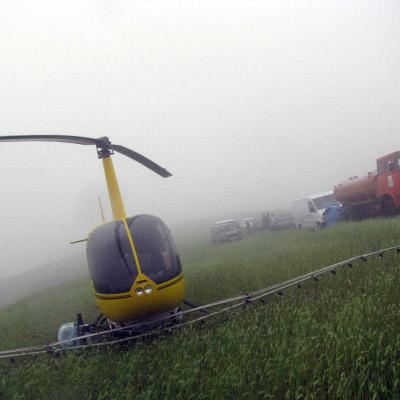 Дъжд и мъгла провалиха пръскането срещу мароканските скакалци