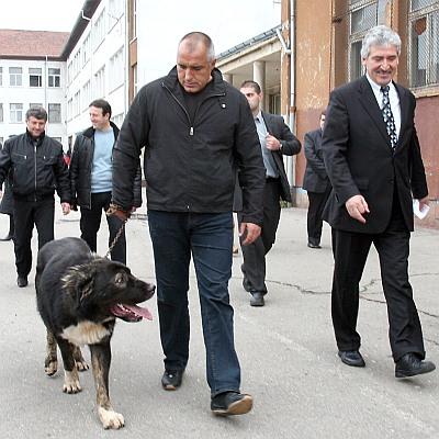 Бойко Борисов гласува на местните избори през 2007 г. с кучето си Борко - българско овчарско куче