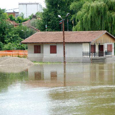 Нивото на Дунав край Лом се покачва опасно