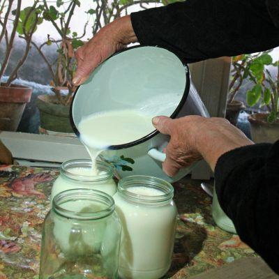 Домашно приготвяне на кисело мляко