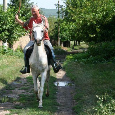 Любители на конете и свободната езда сред природата се събират на събор в Мургаш