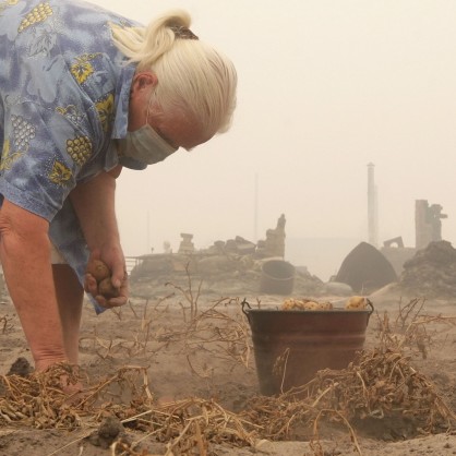 Жена събира картофи от опожарена нива в Русия