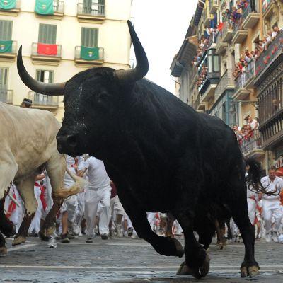 Бик прескочи в публиката по време на корида в Испания