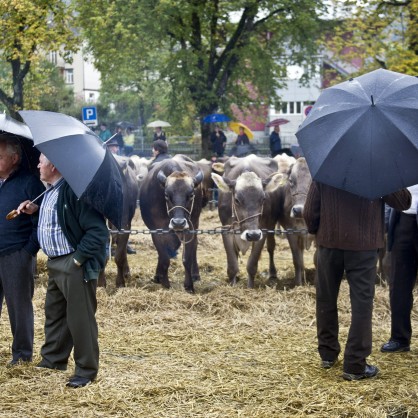Фермери в Швейцария се крият под чадърите си по време на тържище на животни