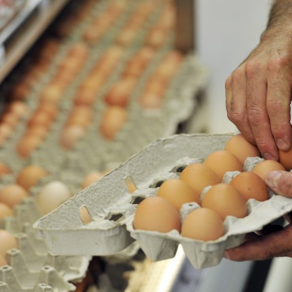 Любителите на омлетите отбелязват Световния ден на яйцето