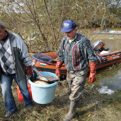 Мъртви риби са забелязани до мястото, където вече замърсената река Раба се влива в Дунав