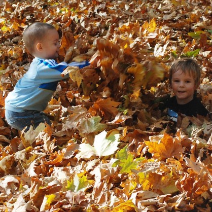 Децата са най-доволни  от потъналатите в есенни листа алеи в парка