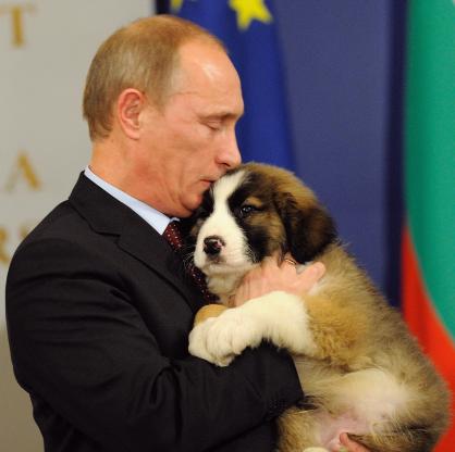 Владимир Путин получи каракачанско куче за подарък при визитата си у нас през 2010 г.
