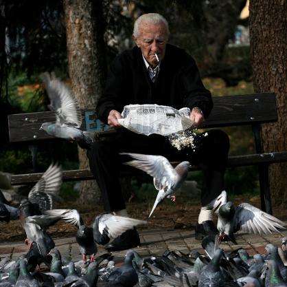 Възрастен човек храни гълъби в градинката 