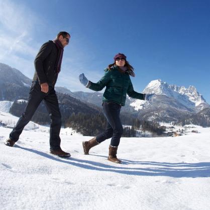 Туристи в австрийските Алпи