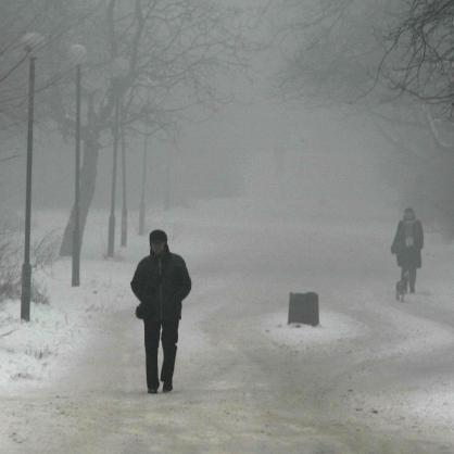 Падналата мъгла в столицата не попречи на столичани да се разходят в парка