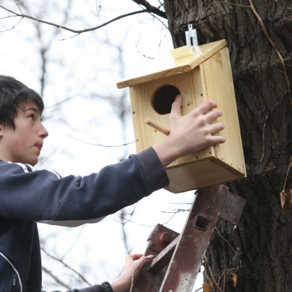 Деца поставиха къщички за птици в парка на Военната академия