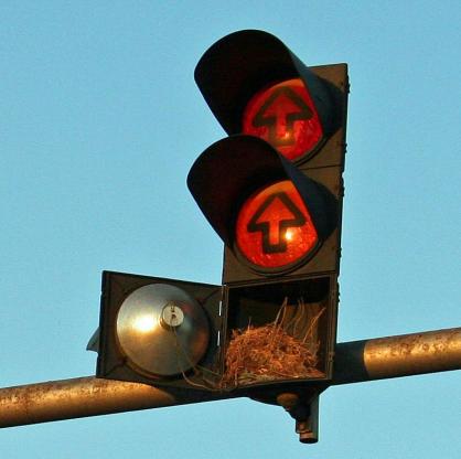 Столичната община предвижда подмяната на светофарните уредби на 68 кръстовища