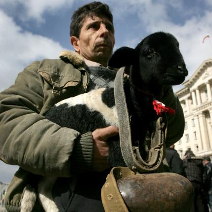 Протест на животновъди пред Министерски съвет