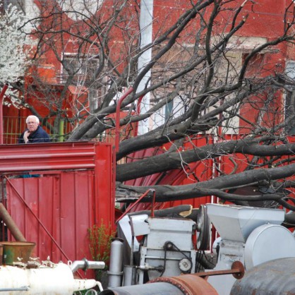 Бурният вятър повали дърво, което падна и счупи ограда на ловешка фирма